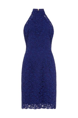 Edolie Lace Dress Cobalt - Damsel in a Dress - Modalova